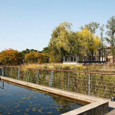 Seonyudo Park walkway over the aquatic botanical garden with concrete basins and reeds growing in the water